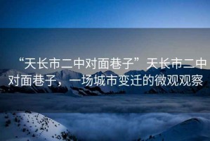 “天長市二中對面巷子”天長市二中對面巷子，一場城市變遷的微觀觀察