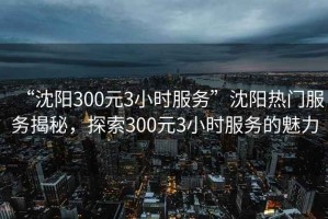 “沈陽(yáng)300元3小時(shí)服務(wù)”沈陽(yáng)熱門服務(wù)揭秘，探索300元3小時(shí)服務(wù)的魅力