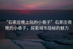 “石家莊晚上玩的小巷子”石家莊夜晚的小巷子，探索城市隱秘的魅力