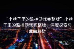 “小巷子里的監(jiān)控游戲完整版”小巷子里的監(jiān)控游戲完整版，深度探索與全面解析