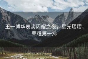 王一博華表獎閃耀之夜，星光熠熠，榮耀第一排