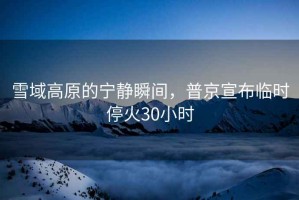 雪域高原的寧靜瞬間，普京宣布臨時?；?0小時