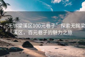 “無錫梁溪區(qū)100元巷子”探索無錫梁溪區(qū)，百元巷子的魅力之旅
