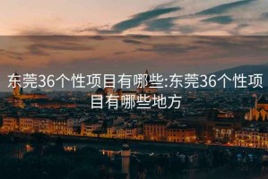 東莞36個性項目有哪些:東莞36個性項目有哪些地方