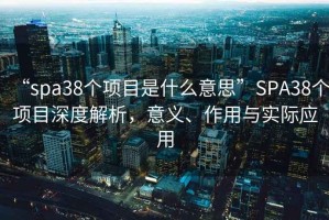 “spa38個(gè)項(xiàng)目是什么意思”SPA38個(gè)項(xiàng)目深度解析，意義、作用與實(shí)際應(yīng)用