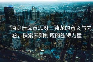 “獨龍什么意思呀”獨龍的意義與內(nèi)涵，探索未知領(lǐng)域的獨特力量
