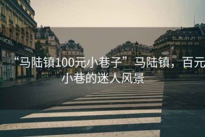 “馬陸鎮(zhèn)100元小巷子”馬陸鎮(zhèn)，百元小巷的迷人風(fēng)景