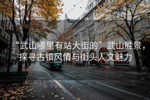 “武山哪里有站大街的”武山勝景，探尋古鎮(zhèn)風(fēng)情與街頭人文魅力