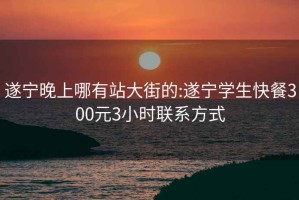 遂寧晚上哪有站大街的:遂寧學(xué)生快餐300元3小時(shí)聯(lián)系方式