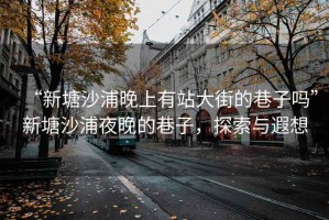 “新塘沙浦晚上有站大街的巷子嗎”新塘沙浦夜晚的巷子，探索與遐想