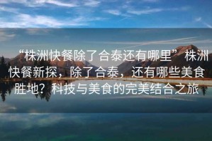 “株洲快餐除了合泰還有哪里”株洲快餐新探，除了合泰，還有哪些美食勝地？科技與美食的完美結合之旅