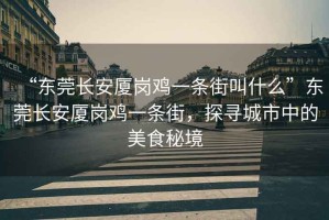 “東莞長安廈崗雞一條街叫什么”東莞長安廈崗雞一條街，探尋城市中的美食秘境