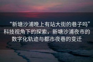 “新塘沙浦晚上有站大街的巷子嗎”科技視角下的探索，新塘沙浦夜市的數(shù)字化軌跡與都市夜巷的變遷
