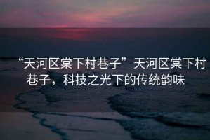 “天河區(qū)棠下村巷子”天河區(qū)棠下村巷子，科技之光下的傳統(tǒng)韻味