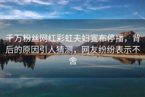千萬(wàn)粉絲網(wǎng)紅彩虹夫婦宣布停播，背后的原因引人猜測(cè)，網(wǎng)友紛紛表示不舍