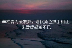 辛柏青為愛(ài)放棄，潛伏角色拱手相讓?zhuān)戽骆赂屑げ灰? title=