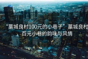 “藁城良村100元的小巷子”藁城良村，百元小巷的韻味與風情