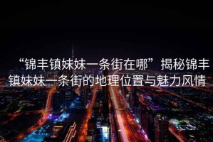 “錦豐鎮(zhèn)妹妹一條街在哪”揭秘錦豐鎮(zhèn)妹妹一條街的地理位置與魅力風情