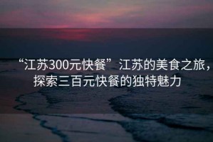 “江蘇300元快餐”江蘇的美食之旅，探索三百元快餐的獨(dú)特魅力
