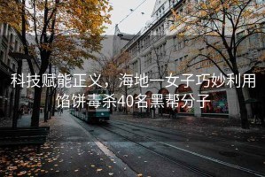 科技賦能正義，海地一女子巧妙利用餡餅毒殺40名黑幫分子