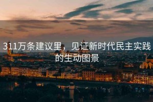 311萬條建議里，見證新時(shí)代民主實(shí)踐的生動(dòng)圖景