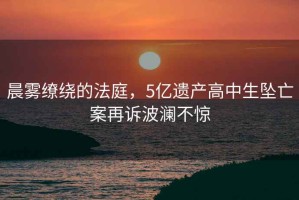 晨霧繚繞的法庭，5億遺產(chǎn)高中生墜亡案再訴波瀾不驚