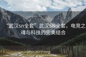 “武漢sn全套”武漢SN全套，電競之魂與科技的完美結(jié)合