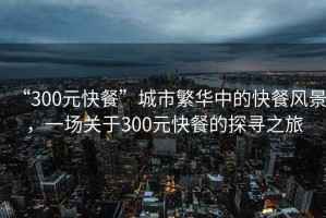 “300元快餐”城市繁華中的快餐風(fēng)景，一場(chǎng)關(guān)于300元快餐的探尋之旅