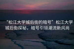 “松江大學(xué)城后街的暗號”松江大學(xué)城后街探秘，暗號引領(lǐng)潮流新風(fēng)尚