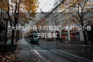“大嶺山小巷子的貓膩”大嶺山小巷子的貓膩