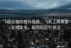飛越云端的意外插曲，飛機上兩乘客互相潑水，航司回應引關注