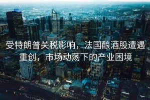 受特朗普關(guān)稅影響，法國釀酒股遭遇重創(chuàng)，市場動蕩下的產(chǎn)業(yè)困境