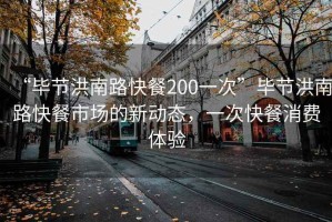 “畢節(jié)洪南路快餐200一次”畢節(jié)洪南路快餐市場的新動態(tài)，一次快餐消費體驗