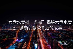 “六盤水賣批一條街”揭秘六盤水賣批一條街，繁榮背后的故事