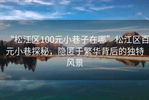 “松江區(qū)100元小巷子在哪”松江區(qū)百元小巷探秘，隱匿于繁華背后的獨特風(fēng)景