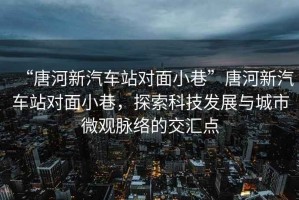 “唐河新汽車站對面小巷”唐河新汽車站對面小巷，探索科技發(fā)展與城市微觀脈絡的交匯點