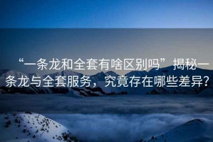 “一條龍和全套有啥區(qū)別嗎”揭秘一條龍與全套服務，究竟存在哪些差異？