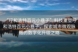 “呼和浩特百元小巷子”科技重塑呼和浩特百元小巷子，探索城市微觀脈絡(luò)的數(shù)字化升級之路