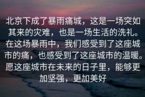 北京下成了暴雨痛城，這是一場突如其來的災難，也是一場生活的洗禮。在這場暴雨中，我們感受到了這座城市的痛，也感受到了這座城市的溫暖。愿這座城市在未來的日子里，能夠更加堅強，更加美好