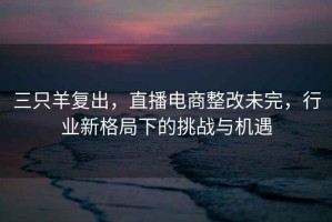 三只羊復出，直播電商整改未完，行業(yè)新格局下的挑戰(zhàn)與機遇