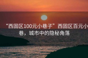 “西固區(qū)100元小巷子”西固區(qū)百元小巷，城市中的隱秘角落