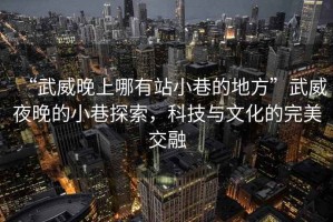 “武威晚上哪有站小巷的地方”武威夜晚的小巷探索，科技與文化的完美交融
