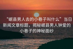 “岷縣男人去的小巷子叫什么”當(dāng)日新聞文章標(biāo)題，揭秘岷縣男人鐘愛的小巷子的神秘面紗