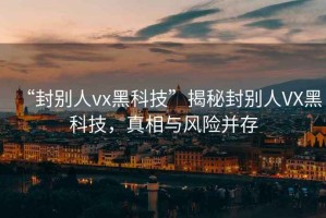 “封別人vx黑科技”揭秘封別人VX黑科技，真相與風(fēng)險(xiǎn)并存