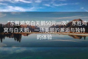 “東勝雞窩白天鵝50元一次”東勝雞窩與白天鵝，一場美麗的邂逅與獨(dú)特的體驗(yàn)