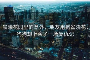 晨曦花園里的意外，朋友用狗盆澆花，狗狗卻上演了一場(chǎng)復(fù)仇記
