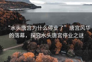 “水頭唐宮為什么停業(yè)了”唐宮風(fēng)華的落幕，探究水頭唐宮停業(yè)之謎