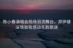 陳小春演唱會(huì)現(xiàn)場(chǎng)淚灑舞臺(tái)，鄭伊健深情致敬感動(dòng)無數(shù)歌迷