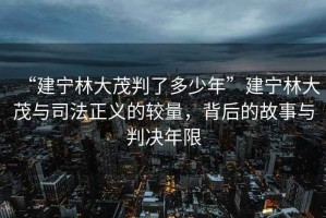 “建寧林大茂判了多少年”建寧林大茂與司法正義的較量，背后的故事與判決年限