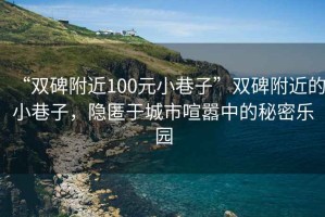 “雙碑附近100元小巷子”雙碑附近的小巷子，隱匿于城市喧囂中的秘密樂園